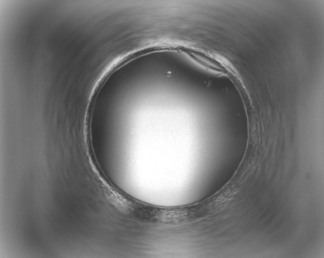 X0000053111183200507251649