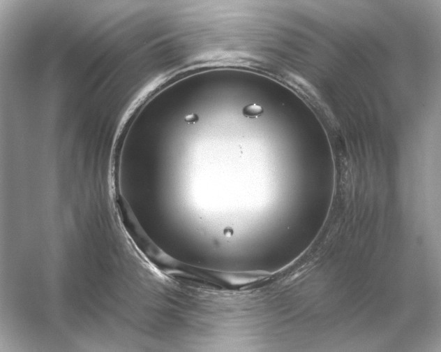 X0000053111188200507251649