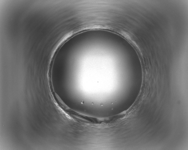 X0000053111189200507251649