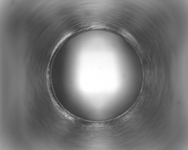 X0000053111190200507251649