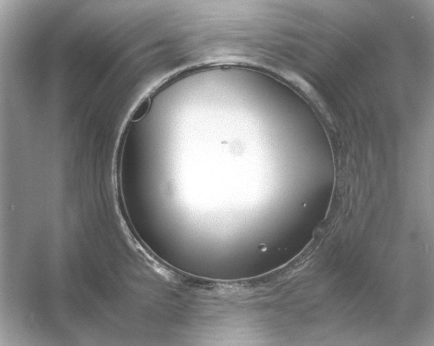 X0000053111191200507251649