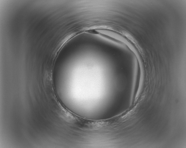 X0000053111193200507251649