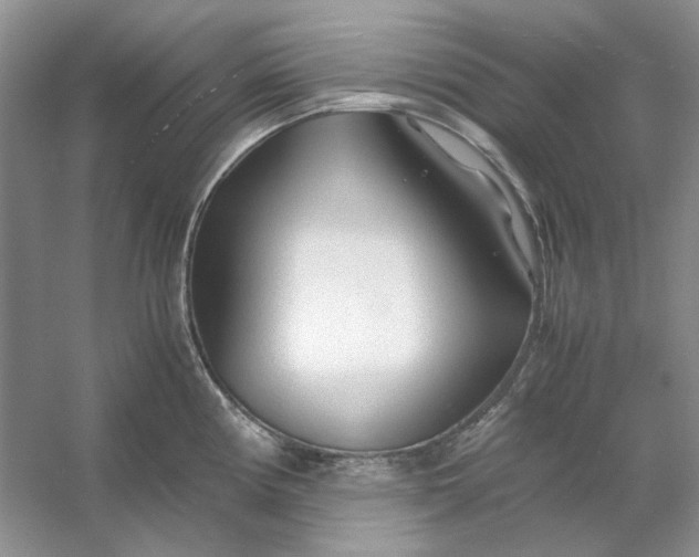 X0000053111194200507251649