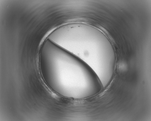 X0000053111196200507251649