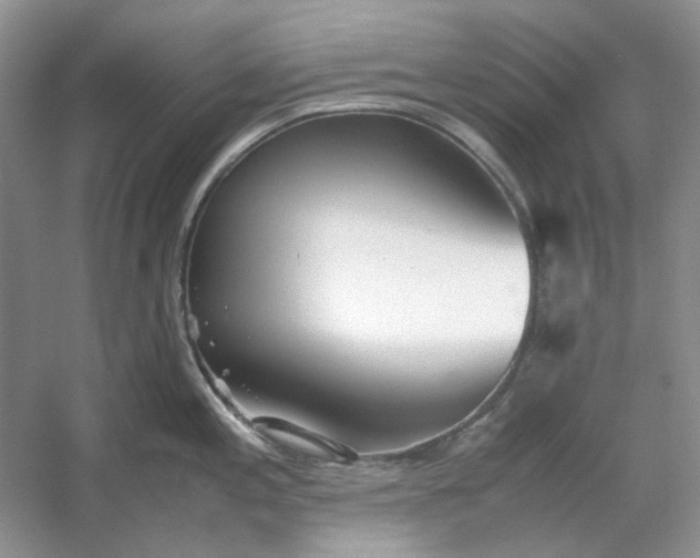 X0000053111197200507251649