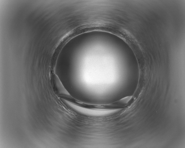 X0000053111210200507251648