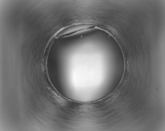 X0000053111212200507251648