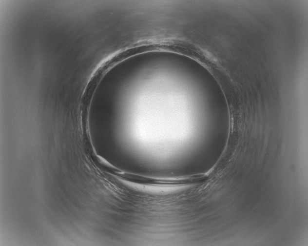 X0000053111214200507251648