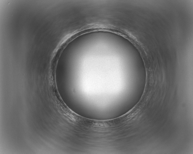 X0000053111215200507251648