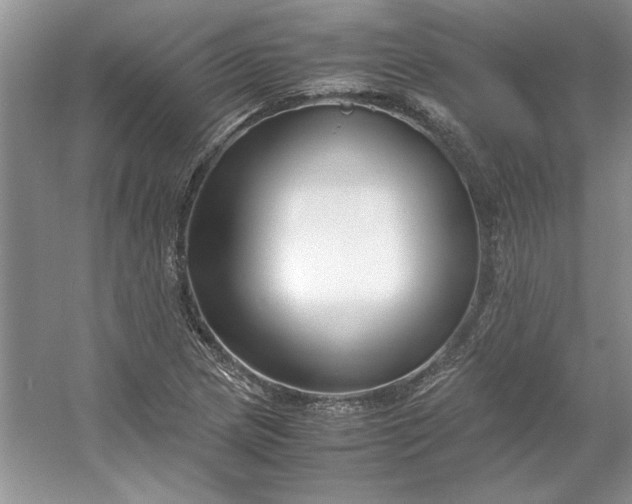 X0000053111217200507251648