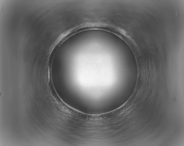 X0000053111221200507251648