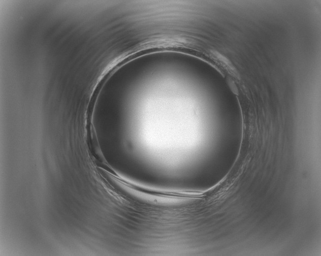 X0000053111226200507251648