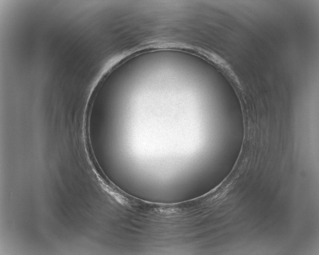 X0000053111231200507251648