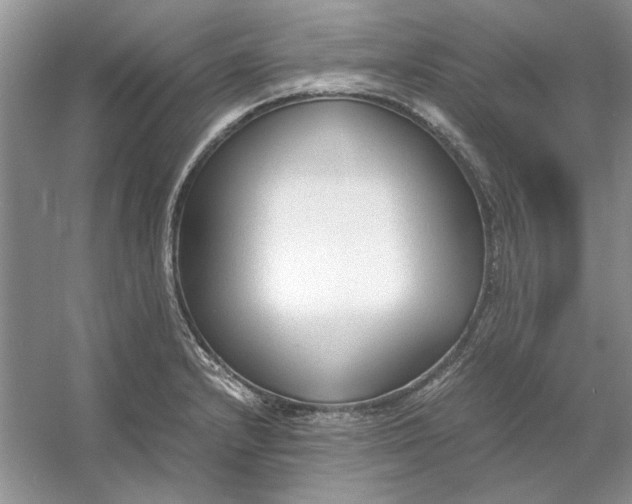 X0000053111232200507251648