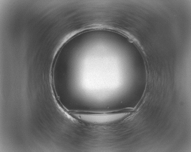 X0000053111239200507251648