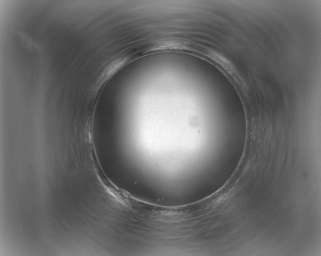 X0000053111241200507251648