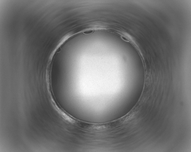 X0000053111243200507251649