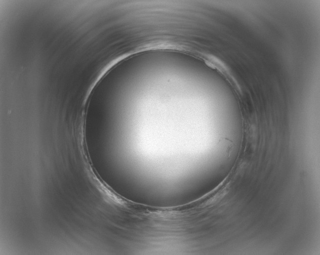 X0000053111244200507251649