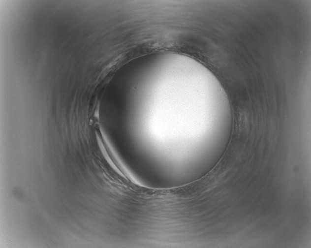 X0000053111250200507251648