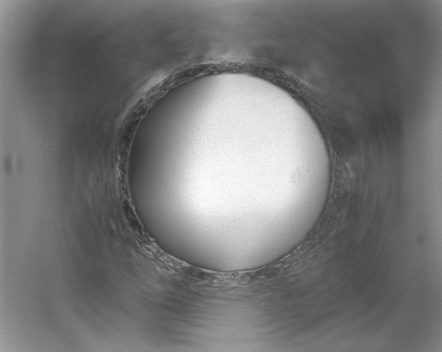 X0000053111254200507251648