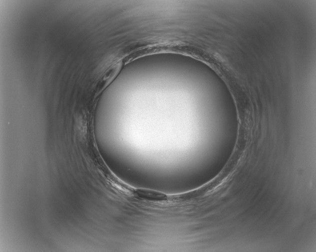 X0000053111257200507251648