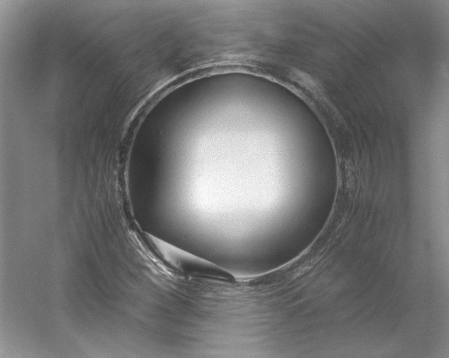 X0000053111260200507251648