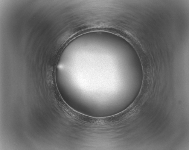 X0000053111265200507251648