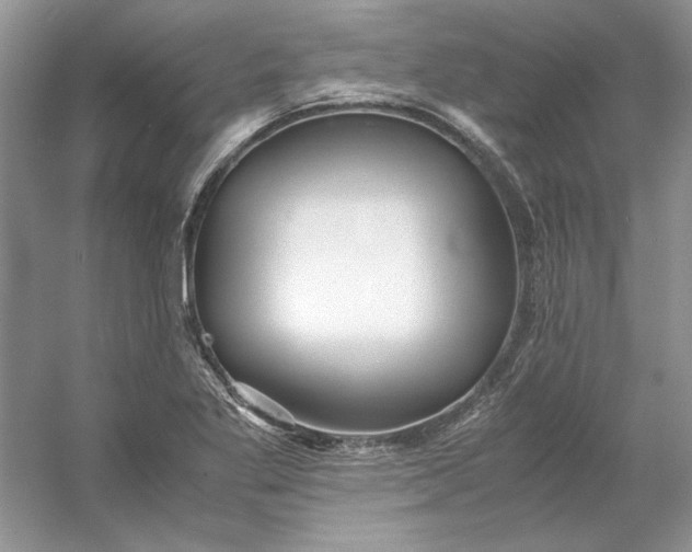 X0000053111269200507251647