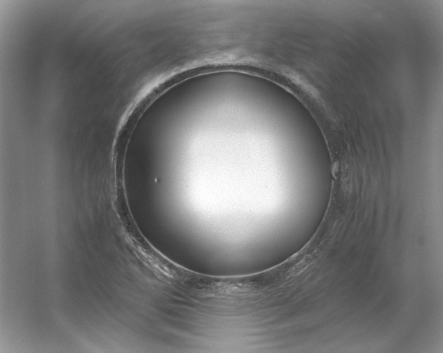 X0000053111270200507251647