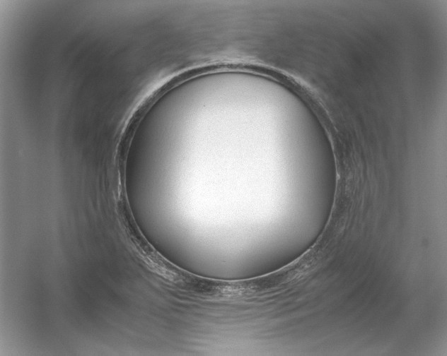 X0000053111271200507251647