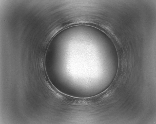 X0000053111273200507251647
