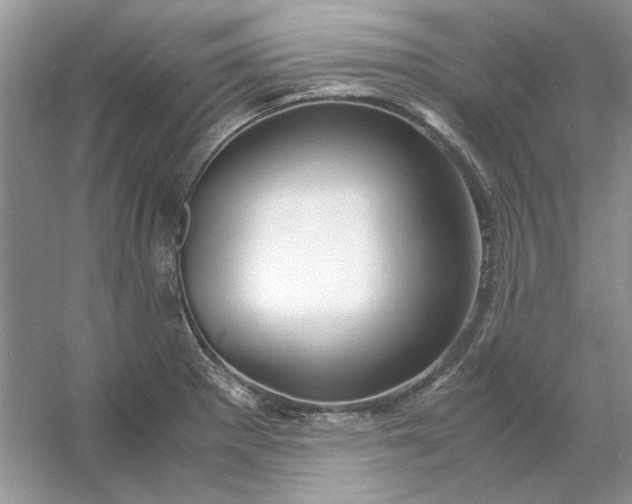 X0000053111281200507251647