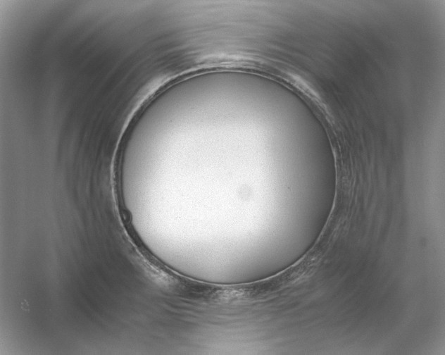 X0000053111283200507251647