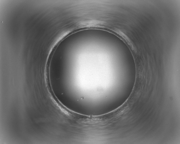 X0000053111285200507251647