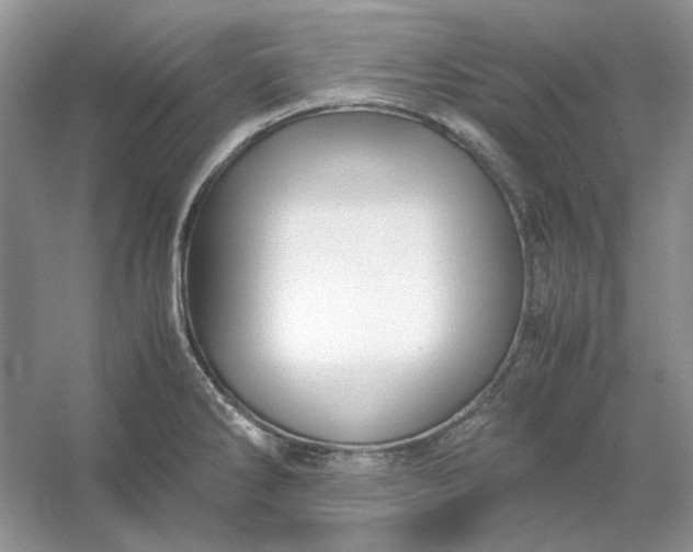 X0000053111286200507251647