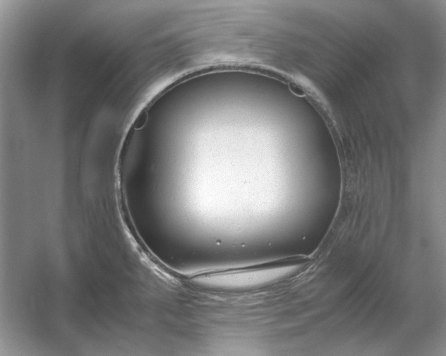 X0000053111287200507251647