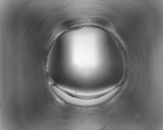 X0000053111289200507251647
