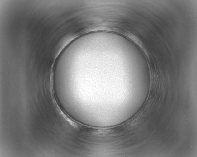 X0000053111290200507251647