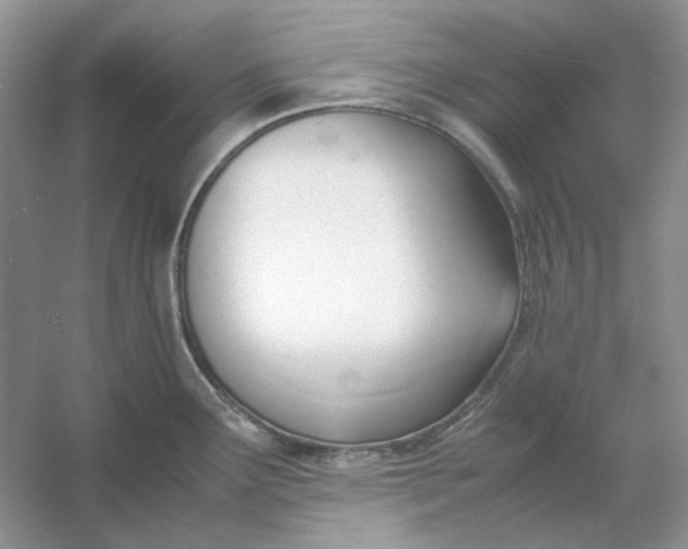 X0000053111291200507251647