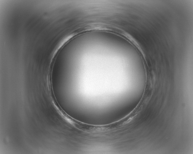 X0000053111293200507251647