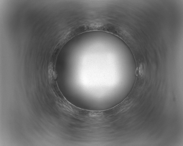 X0000053111299200507251646