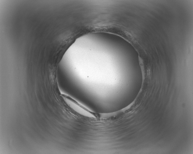 X0000053111300200507251646