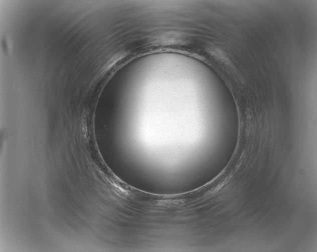 X0000053111305200507251646