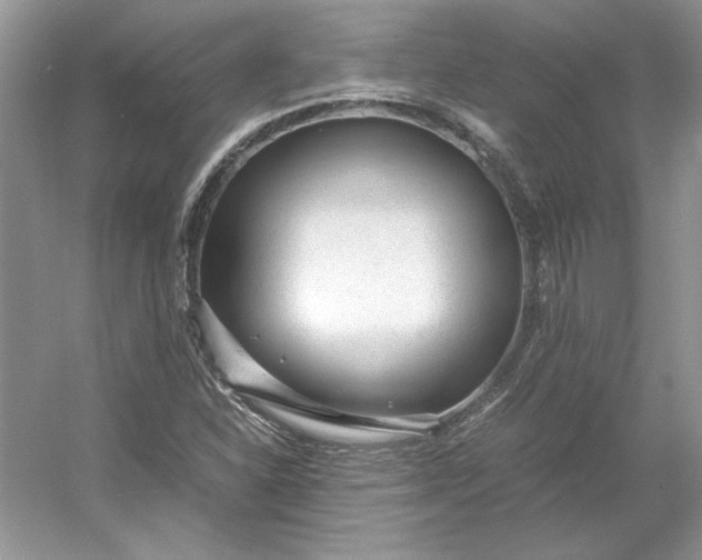 X0000053111310200507251646