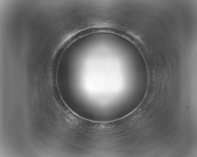 X0000053111311200507251646