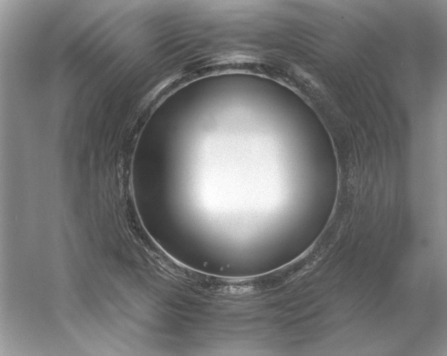 X0000053111313200507251646