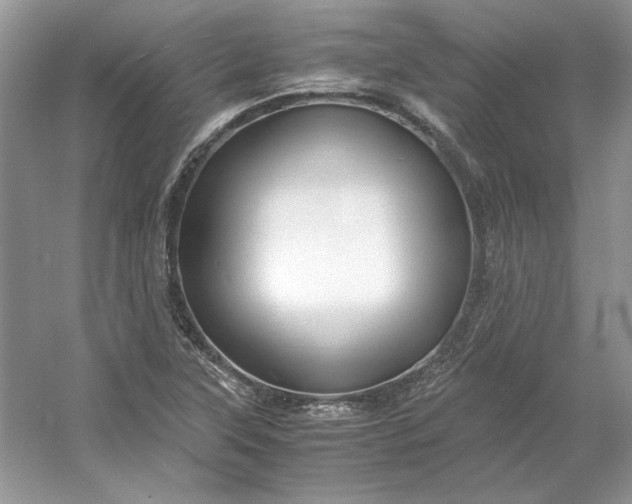 X0000053111315200507251646