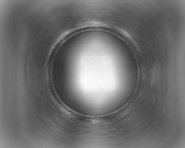 X0000053111318200507251647