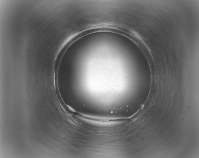 X0000053111320200507251647