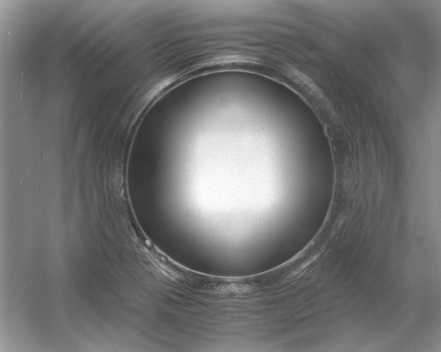 X0000053111321200507251647